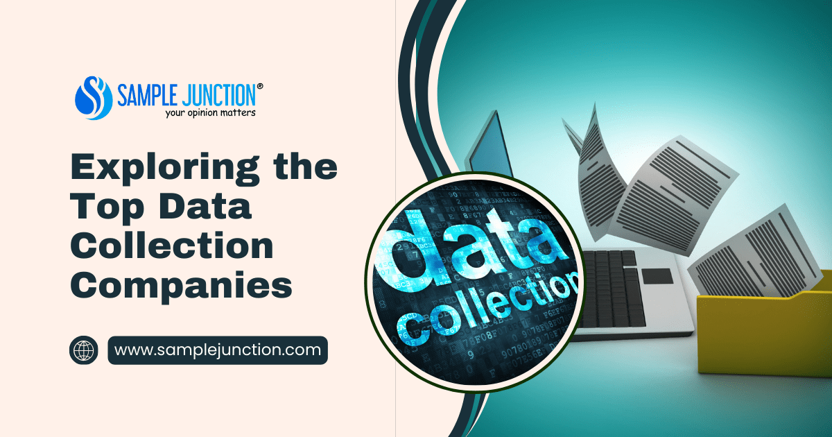 Exploring the Top Data Collection Companies