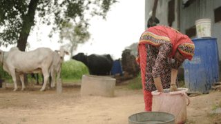 end_poverty_snapshot_6